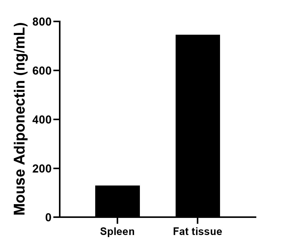 Sample test of MP00039-3